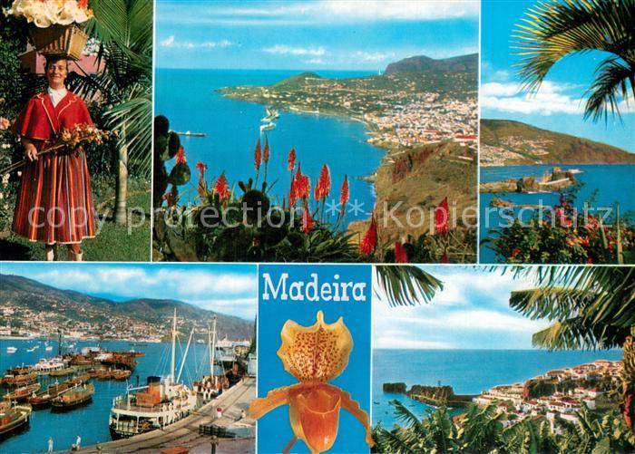 Madeira  Portugal As melhores vistas da Madeira