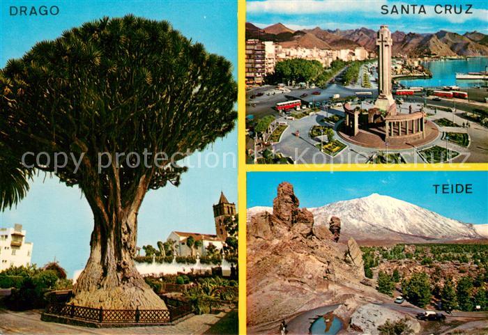 Islas Canarias ES Drago Santa Cruz Teide
