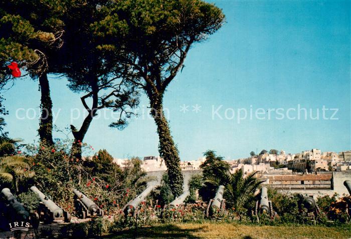 Tanger Tangier Tangiers Jardin de la Mendoubia