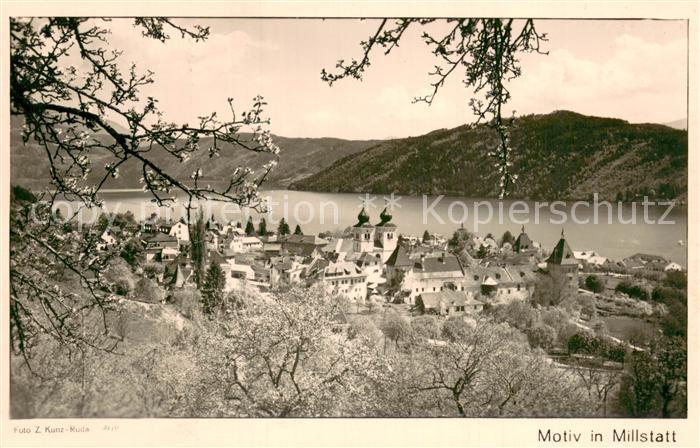 Millstatt Millstaettersee Panorama Baumbluete