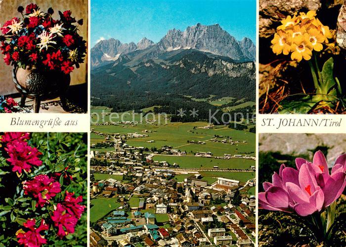 St Johann Tirol Sommerfrische Erholungsort mit Wildem Kaiser Alpenflora Blumen