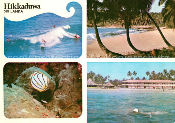 Hikkaduwa Sri Lanka Hotel am Strand Surfen Unterwasserwelt Tauchen