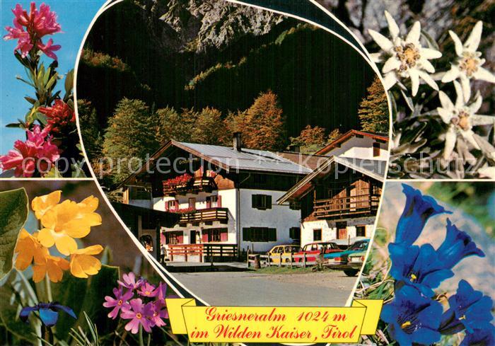 Griesneralm 1024m Kirchdorf Tirol AT Unterkunftshaus Griesneralm im Wilden Kaise