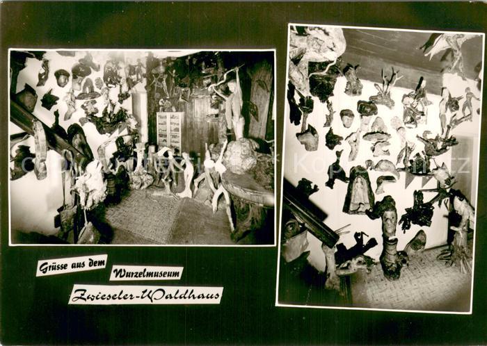 Zwieselerwaldhaus Wurzelmuseum Wurzelschnitzereien und Alraunen