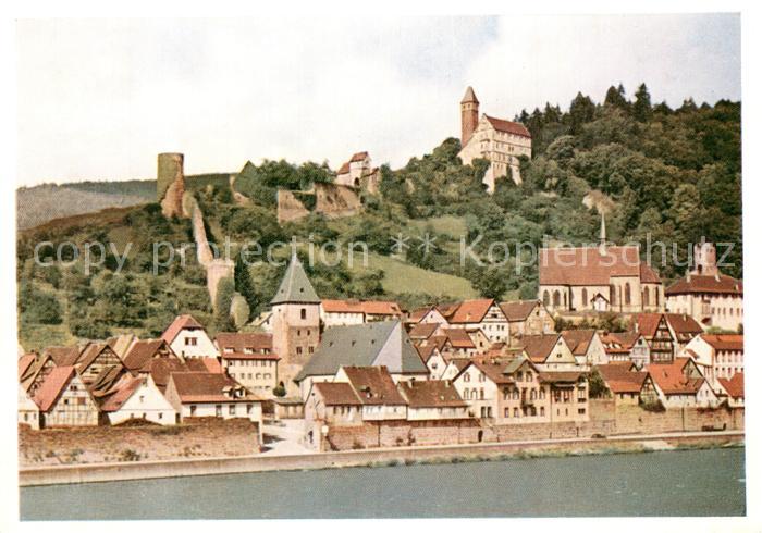 Hirschhorn Neckar Panorama
