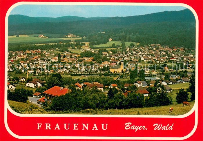 Frauenau Fliegeraufnahme