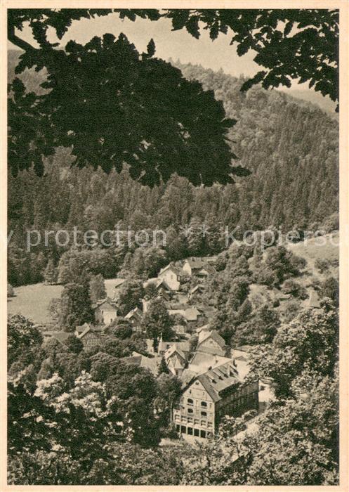Treseburg Harz Fliegeraufnahme