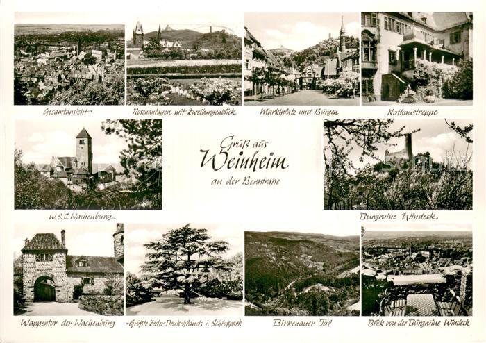 Weinheim Bergstrasse Panorama Marktplatz Burgen Rathaustreppe WSC Wachenburg Bur