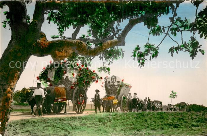 Torremolinos ES Jardines des Axumamien - Ochsen-Gespanne u. Kutschen