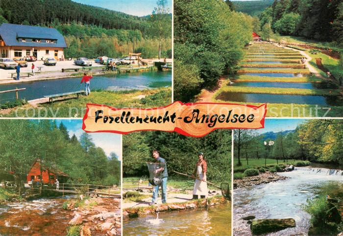 Neuenbuerg Dobel Forellenzucht-Angelsee Teilansichten