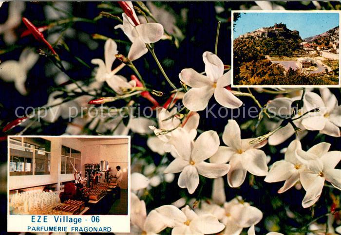 Eze 06 Le Jasmin - La Laboratoire de la Parfumerie Fragonard