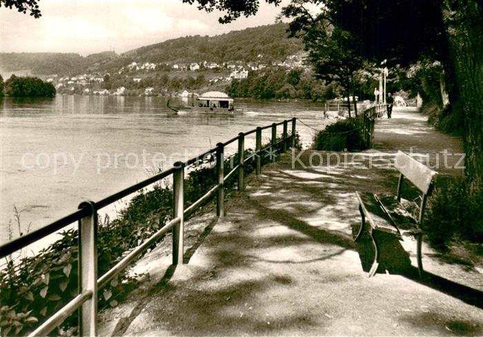 Rheinfelden Baden Rheinpromenade m. Faehre zur Schweiz