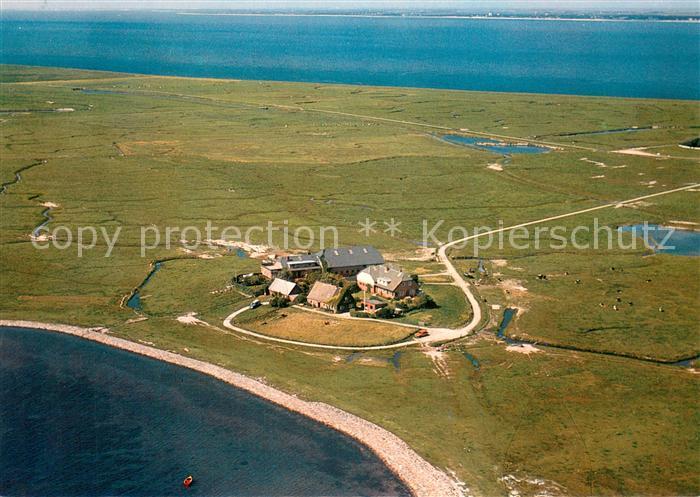 Langeness Fliegeraufnahme Tadenswarft