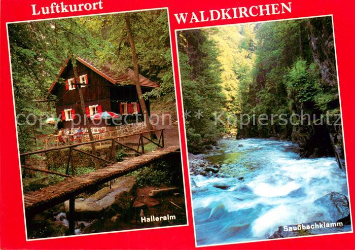 Waldkirchen Niederbayern Saussbachklamm mit Halleralm