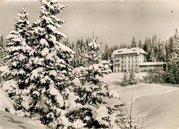 Notschrei Waldhotel am Notschrei