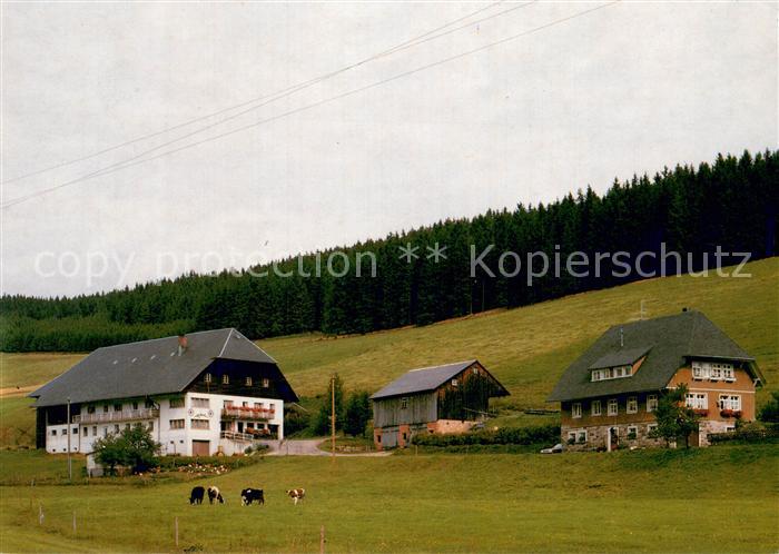 Urach Schwarzwald Matten Hof