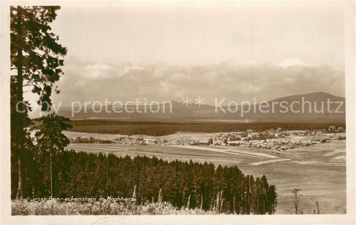 Benneckenstein Harz Landschaftspanorama Kurort