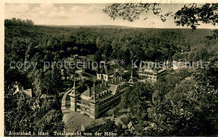 Alexisbad Harz Totalansicht von der Hoehe
