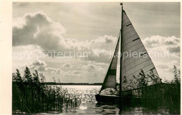 Arendsee Altmark Segelboot im Schilf