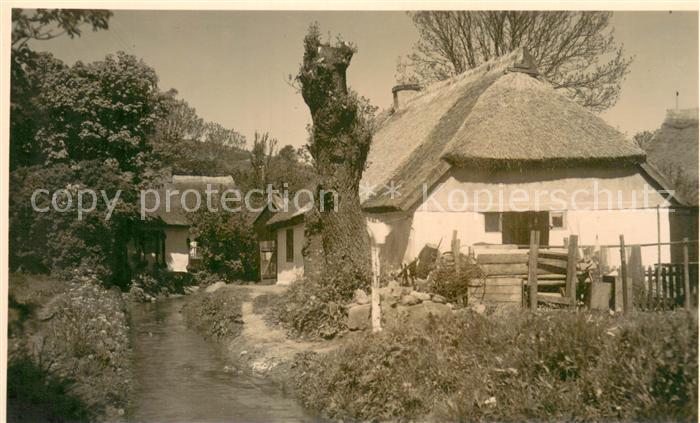 Ruegen Wohnhaus Reetdachhaus