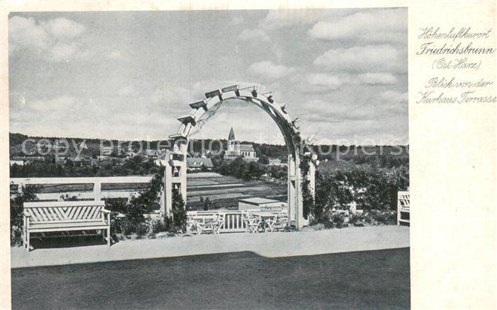 Friedrichsbrunn Harz Blick von der Kurhaus Terrasse Kupfertiefdruck