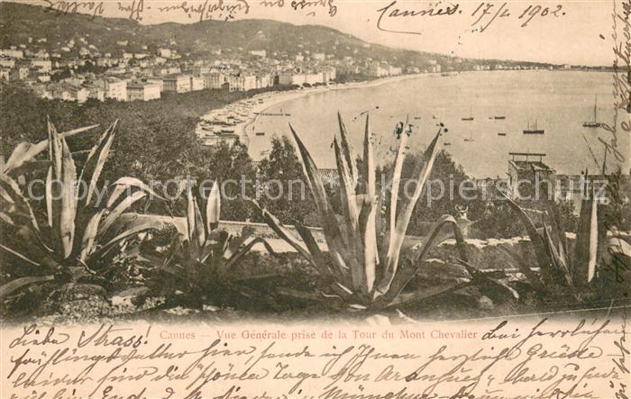 Cannes 06 Vue generale prise de la Tour de Mont Chevalier