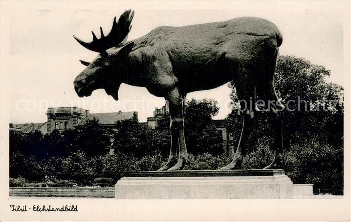 Tilsit Sowetsk Oblast Kaliningrad Elchstandbild