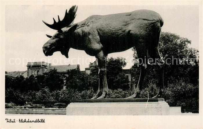Tilsit Sowetsk Oblast Kaliningrad Elchstandbild