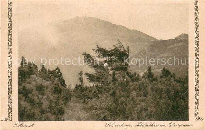 Schneekoppe Snezka Nebelschleier im Melzergrund