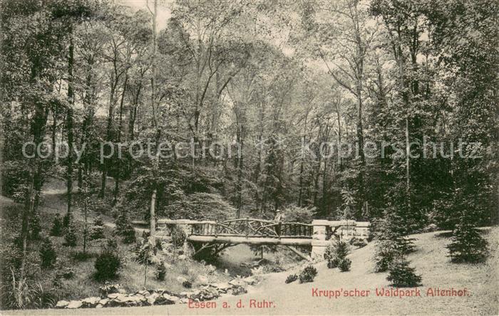 Essen  Ruhr Kruppscher Waldpark Altenhof