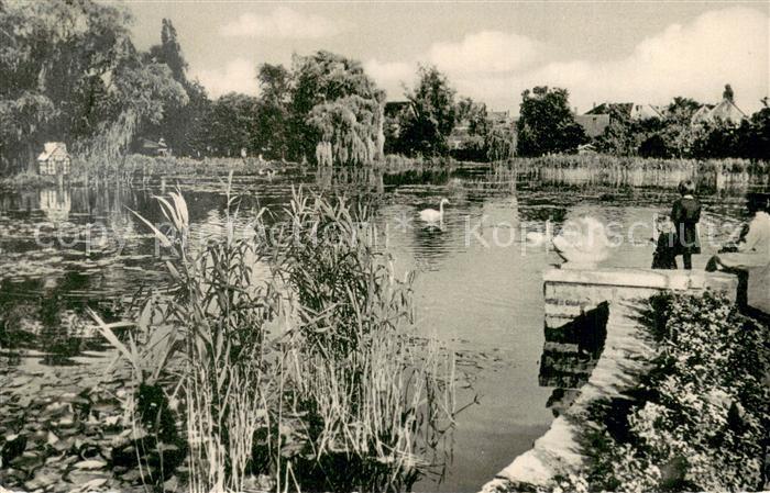 Buende Westfalen Schwanenteich Buergerpark