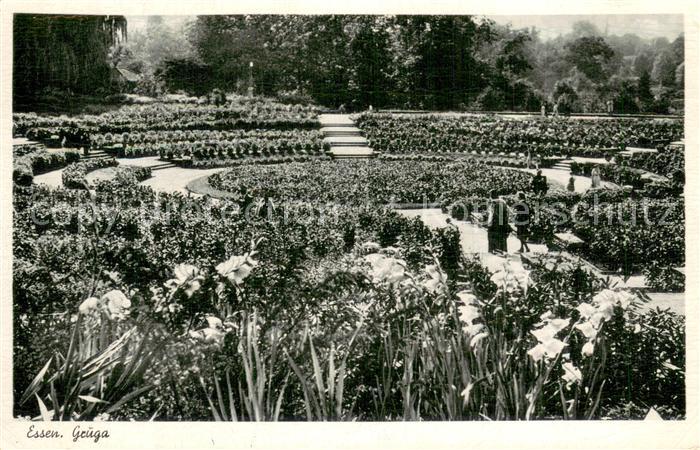 Essen  Ruhr Grugapark