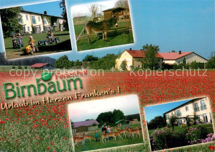 Weidenbach Mittelfranken Ferienhof Birnbaum Esel Rotwild