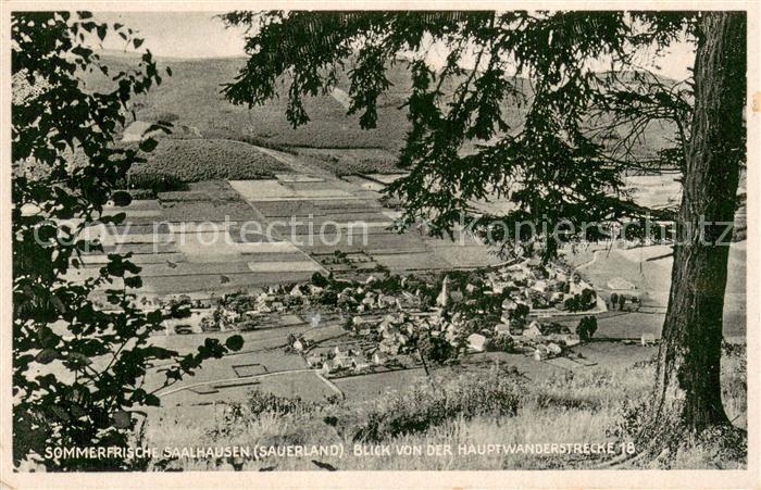 Saalhausen Sauerland Sommerfrische Panorama Blick von der Hauptwanderstrecke 18