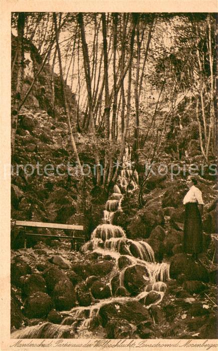 Manderscheid Eifel Partie aus der Wolfsschlucht Lavastrom des Mosenberges