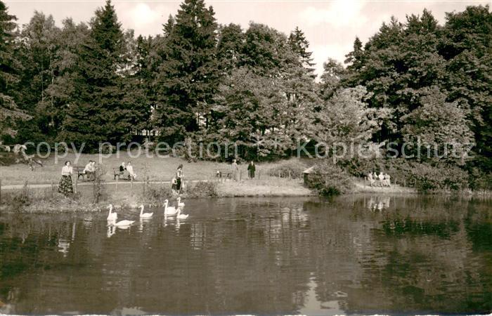 Bad Steben Schwanenweiher