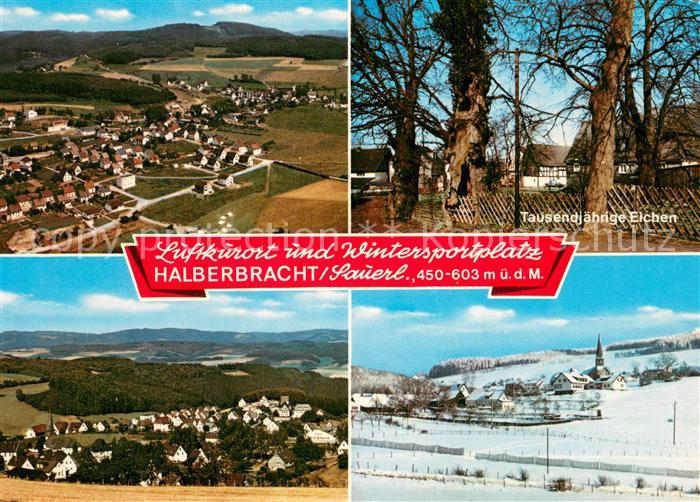 Halberbracht Panorama Luftbild 1000jaehrige Eichen Winterlandschaft