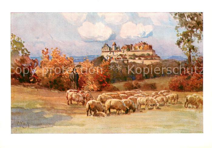 Coburg Bayern Veste Ansicht vom Eckardtsberg aus Schafherde Wiegk Kuenstlerkart