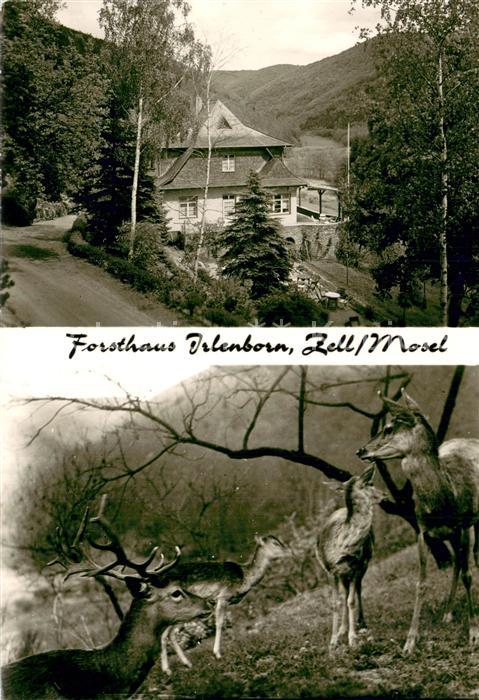 Zell Mosel Forsthaus Irlenborn Wildpark