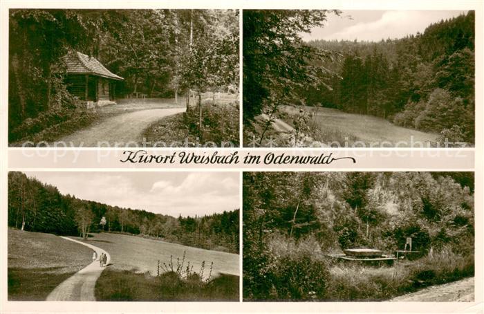 Weisbach Waldbrunn Odenwald Waldhuette Wandern Landschaft