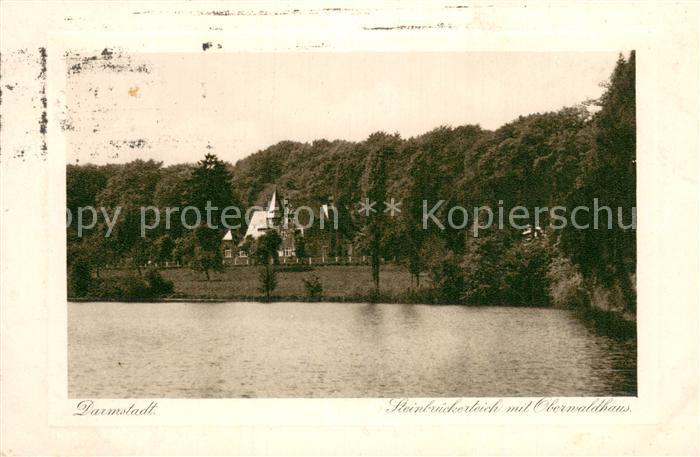 Darmstadt Steinbrueckerteich mit Oberwaldhaus