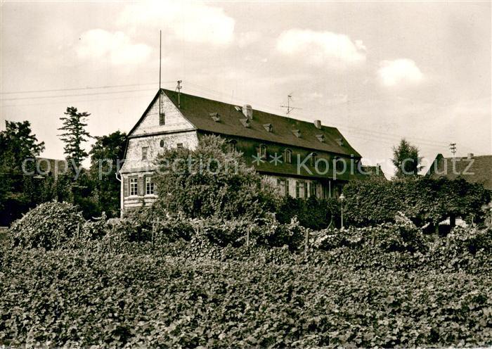 Winkel Oestrich-Winkel Brentano Haus Gartenfront