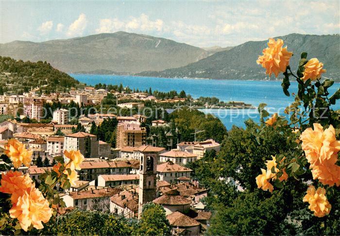 Luino Lago Maggiore IT Panorama Blick auf den See Rosenbusch