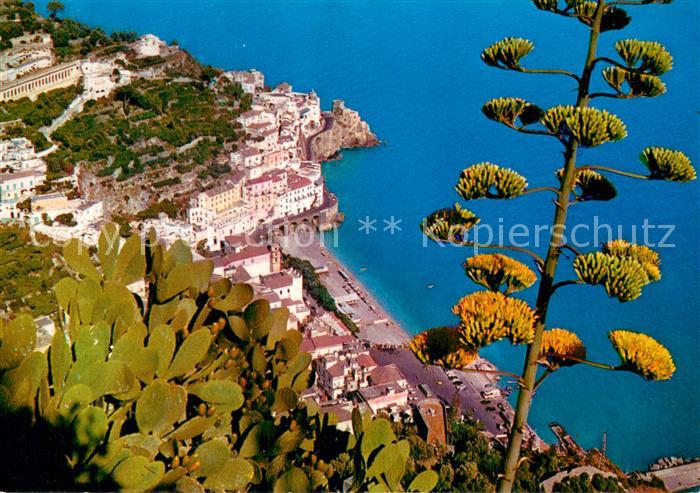Amalfi IT Panorama