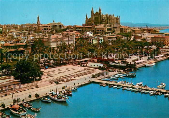 Palma de Mallorca La Catedral la Lonja y el desembarcadero vista aérea