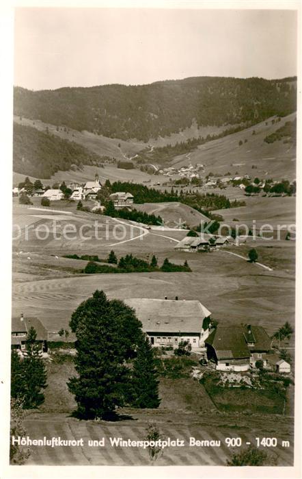 Bernau Schwarzwald Panorama