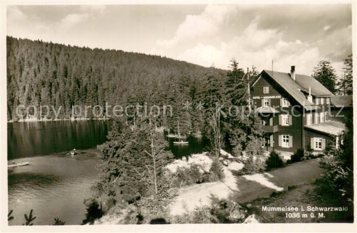 Mummelsee Hotel Mummelsee