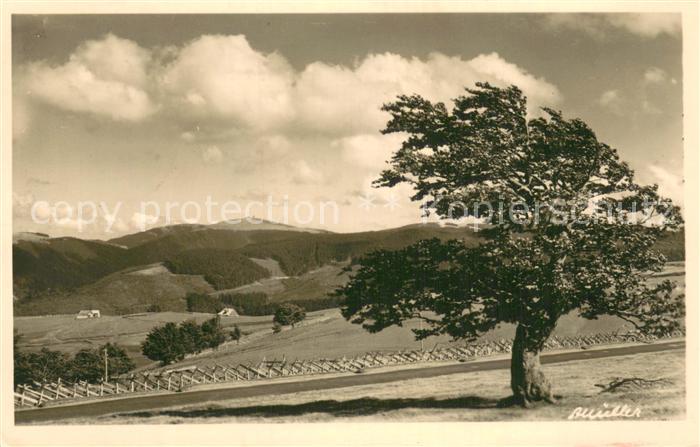 Feldberg 1450m Schwarzwald Feldbergblick
