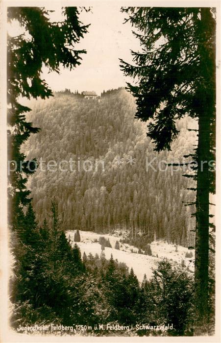 Feldberg 1450m Schwarzwald Jugendheim Feldberg