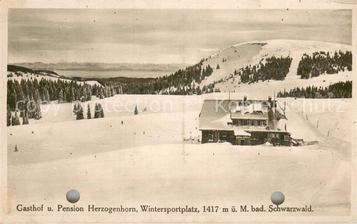 Herzogenhorn Gasthof Pension Herzogenhorn Winterpanorama